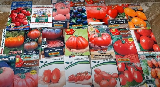 ������ ��� ������ �����: ��� �� �������� ���� � ����