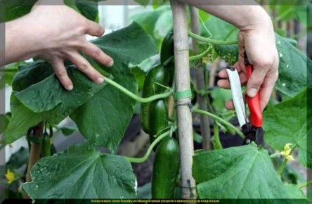 ��� ���������� ������� ������ �� ������: ����� �� �����������?