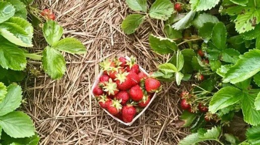 ��� ��������� ������������� �������� ������: ������ ��� ��������