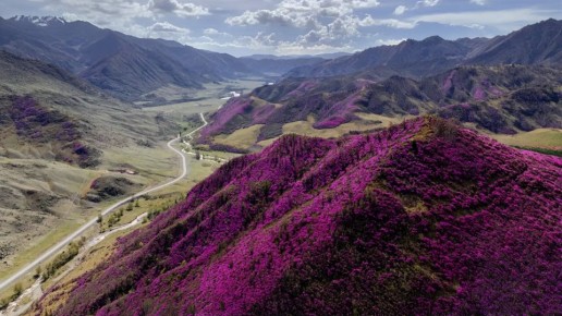 ��������� �����-��������� ����� � 2026� ������� � ����������� ������