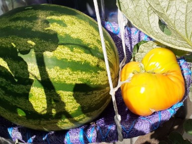 �������� ������: ���������� ����������������� ���������