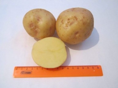 ��������� ������: ������ ������ � ��������� ���� ��� ��������������� ��������