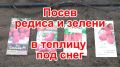 ����� ������ � ������ � ������� ��� ����: ������ ������� ������
