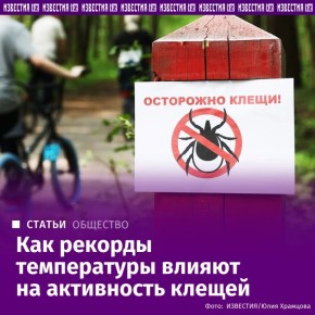 �������� "���������", "���" � "���������" �� ������ ������ ���������� ��� ������� 34 ���������, ��������� �������, ���������� "��������" �� ������ ������ ������������ ���������� ���������������