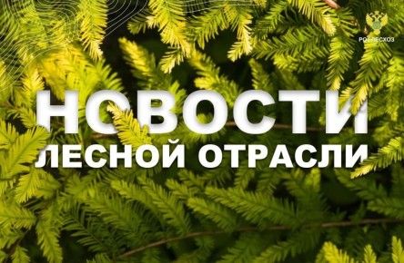 ��������� � �����: �� ����� �� �������� ���������� ����� ������� �� �������