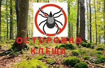 На «Радио России. ГорноАлтайск», рубрика «Важно знать»