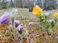 Утро 14 мая в Улагане. Фото от подписчика