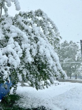 Вчера в Шебалино. Фото от подписчика