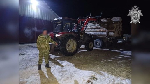 В Майминском районе местный житель осужден за причинение смерти по неосторожности
