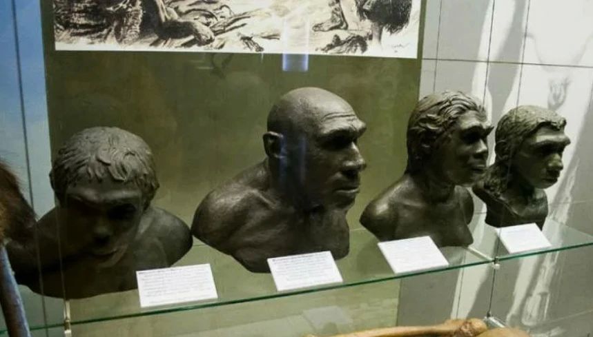 Сибирские ученые выяснили, что неандертальцы лечили зубы 59 тысяч лет назад