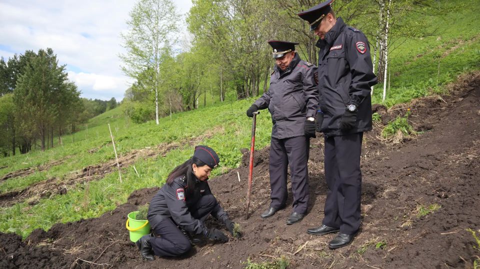 Полицейские Республики Алтай приняли участие в экологической акции «Сад памяти» Полицейские Республики Алтай приняли участие в экологической акции «Сад памяти»