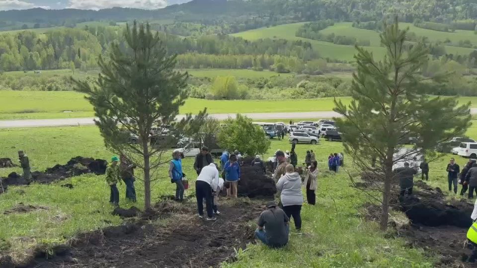Приняли участие в Международной акции «Сад Памяти», посвященной памяти героев, погибших во время Великой Отечественной войны, и памяти героев СВО
