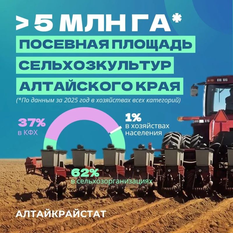 Посевная кампания на Алтае продолжается в плановом режиме несмотря на холодную погоду Посевная кампания на Алтае продолжается в плановом режиме несмотря на холодную погоду