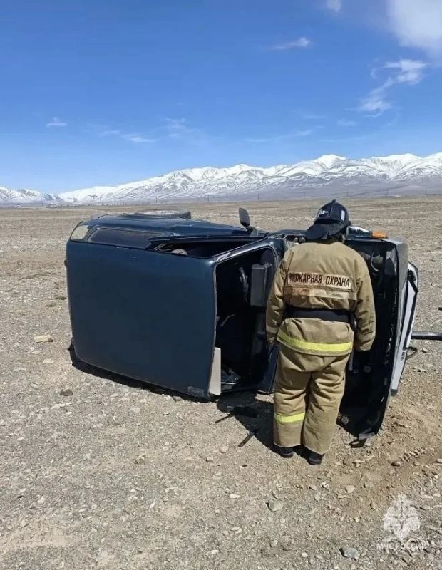 В Республике Алтай за прошедшие сутки: В Республике Алтай за прошедшие сутки: