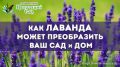 �������: ��� ��� ��������� �������� ����� ����������� ��� ��� � ���