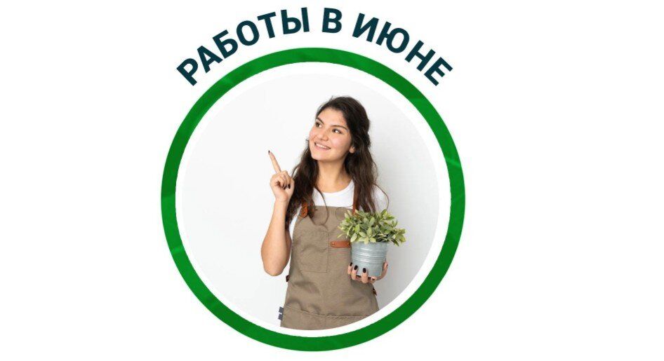 Июнь в саду: Как заботиться о растениях в начале лета
