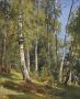 «Березовая роща», 1870 г. — Шишки