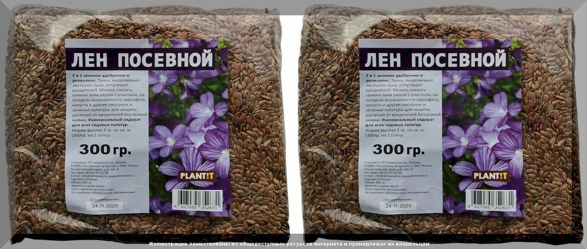 Лен как сидерат: старый друг возвращается с новыми преимуществами
