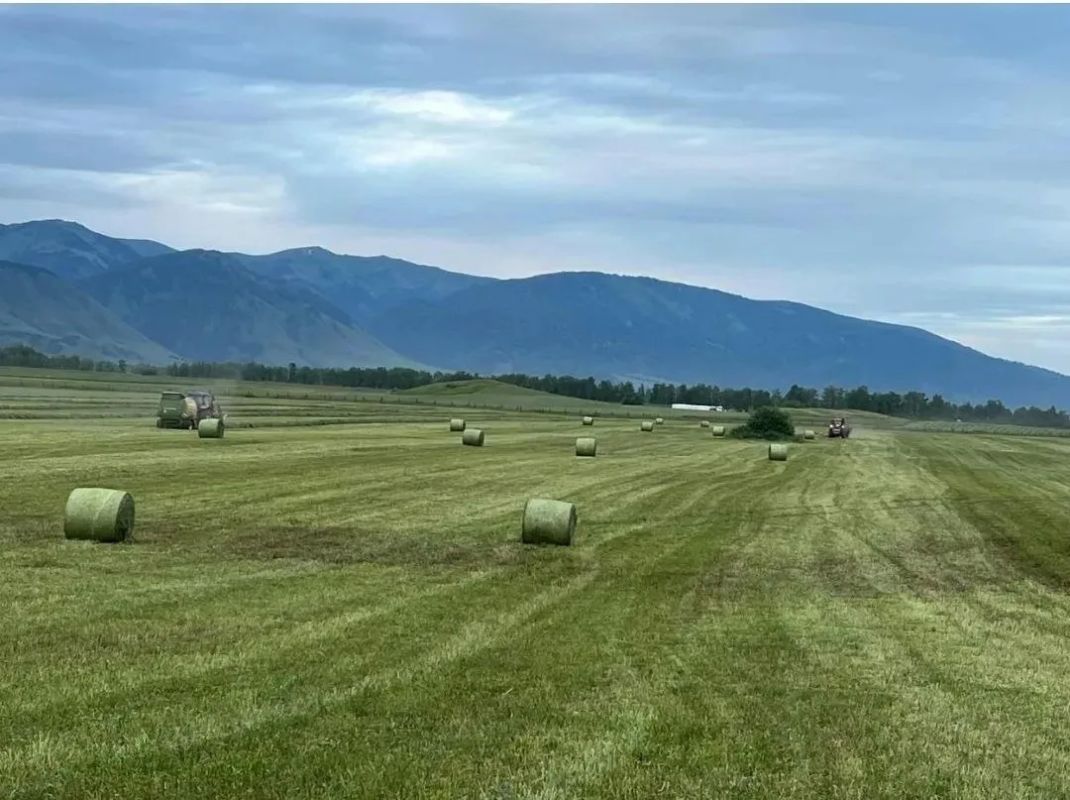 Кормоуборочная кампания стартовала в Республике Алтай