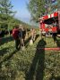 В Улаганском районе действуют два лесных пожара