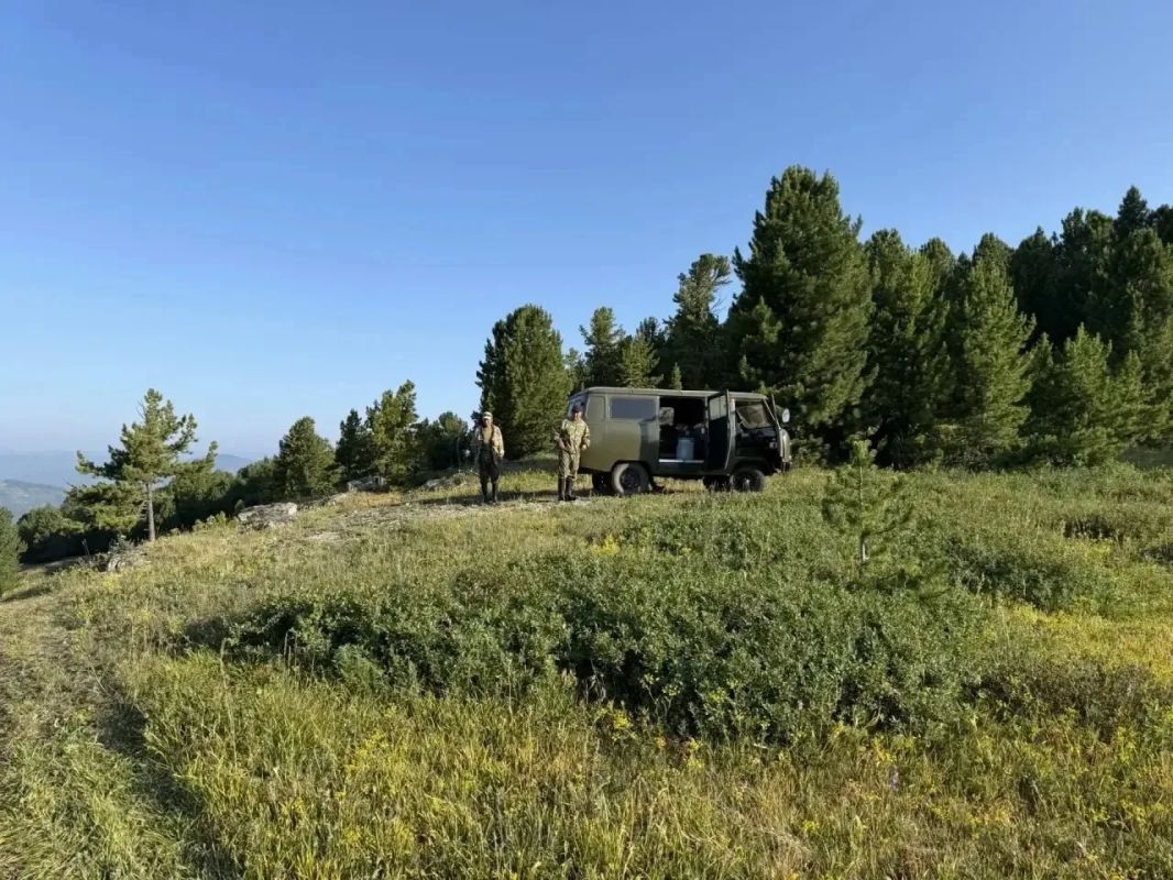 В Улаганском районе действуют два лесных пожара В Улаганском районе действуют два лесных пожара