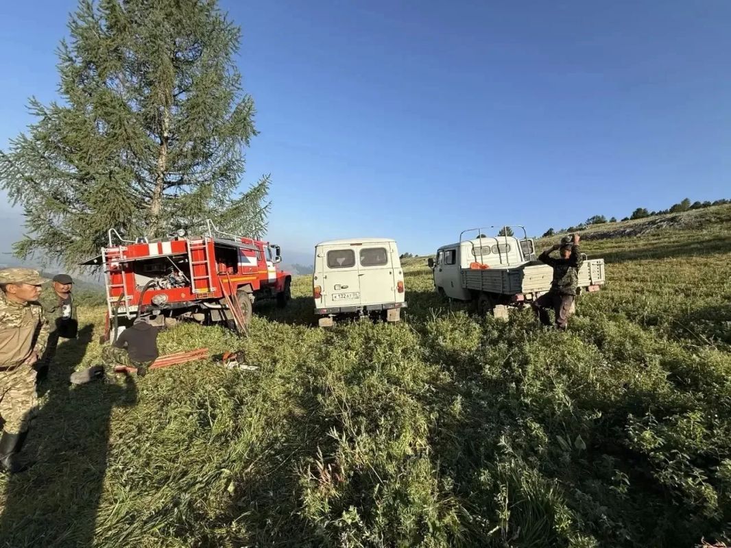 В Улаганском районе действуют два лесных пожара В Улаганском районе действуют два лесных пожара