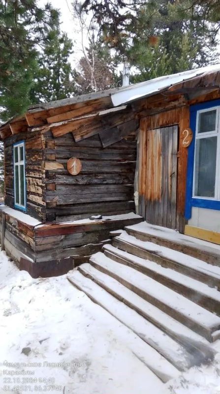 Минприроды Республики Алтай добилось судебного решения о сносе самовольных построек и возврате лесного участка в федеральную собственность