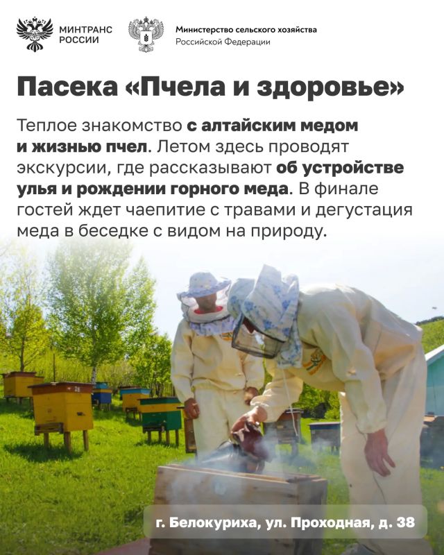 Едете в Алтайский край? Добавьте эти места в свой маршрут Едете в Алтайский край? Добавьте эти места в свой маршрут