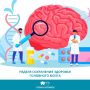 Эта неделя приурочена к Всемирному дню мозга, который отмечается 22 июля