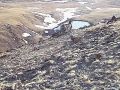 Все, как мы любим по утрам: красивое и котики