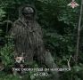 Баста — четвероногий защитник, спасающий жизни на передовой