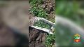 � ��������� ���� ������������ ����������� ��������� �������� ������ � ����������