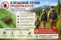 32 человека пострадали от укусов клещей в Республике Алтай за минувшую неделю, сообщает региональный Роспотребнадзор