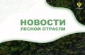 AK&M: Рослесхоз: в I полугодии 2026 года во ФГИС Лесного комплекса оказано свыше 726 тыс