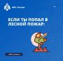 Что делать если ты попал в лесной пожар?