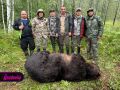 Охотники ликвидировали 12 медведей на Алтае после гибели туристки