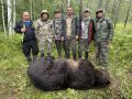12 медведей ликвидировано в Республике Алтай за двое суток