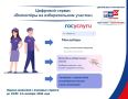 На Госуслугах работает цифровой сервис помощи избирателям «Волонтёры на избирательном участке»