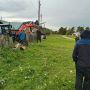 В Турочакском районе в селе Удаловка убили медведя в огороде
