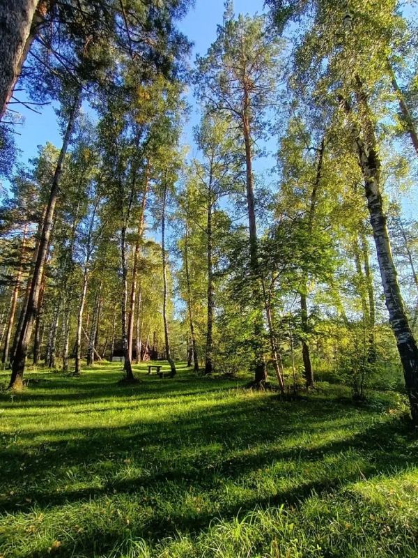 В ожидании бабьего лета... Фото: В.К В ожидании бабьего лета... Фото: В.К
