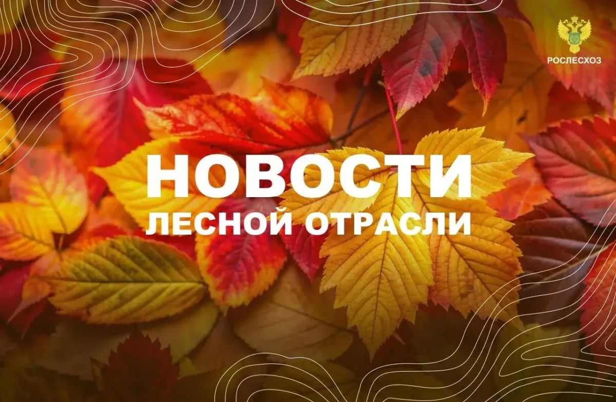 Мой Алтай: В Подмосковье определят лучшего лесного пожарного 2026 года