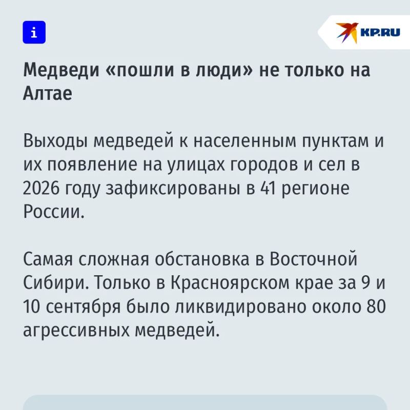 "Состояние уже намного лучше": мама потерявшей дар речи после встречи с медведем девочки рассказала о состоянии дочери "Состояние уже намного лучше": мама потерявшей дар речи после встречи с медведем девочки рассказала о состоянии дочери