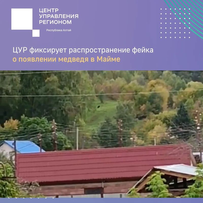 Специалисты ЦУР Республики Алтай зафиксировали в соцсетях распространение видео с медведем