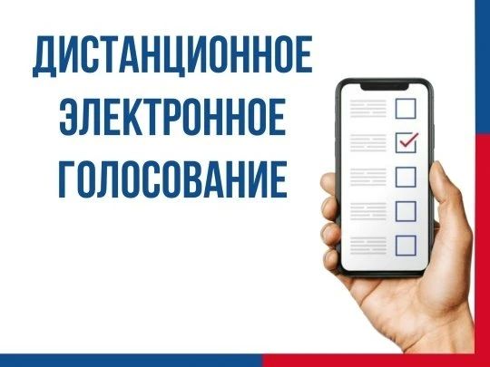 Как проголосовать дистанционно на выборах жителям Республики Алтай?