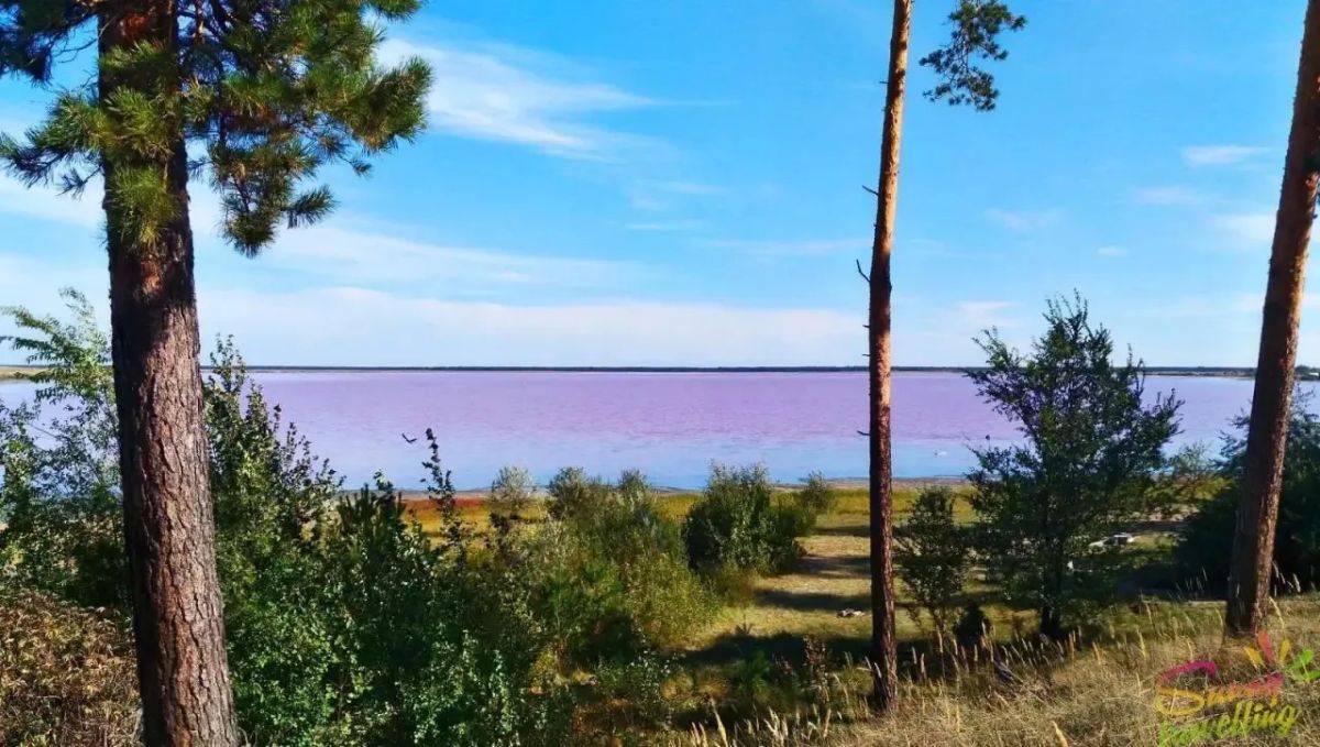 В эфире традиционная рубрика #граница_в_деталях В эфире традиционная рубрика #граница_в_деталях