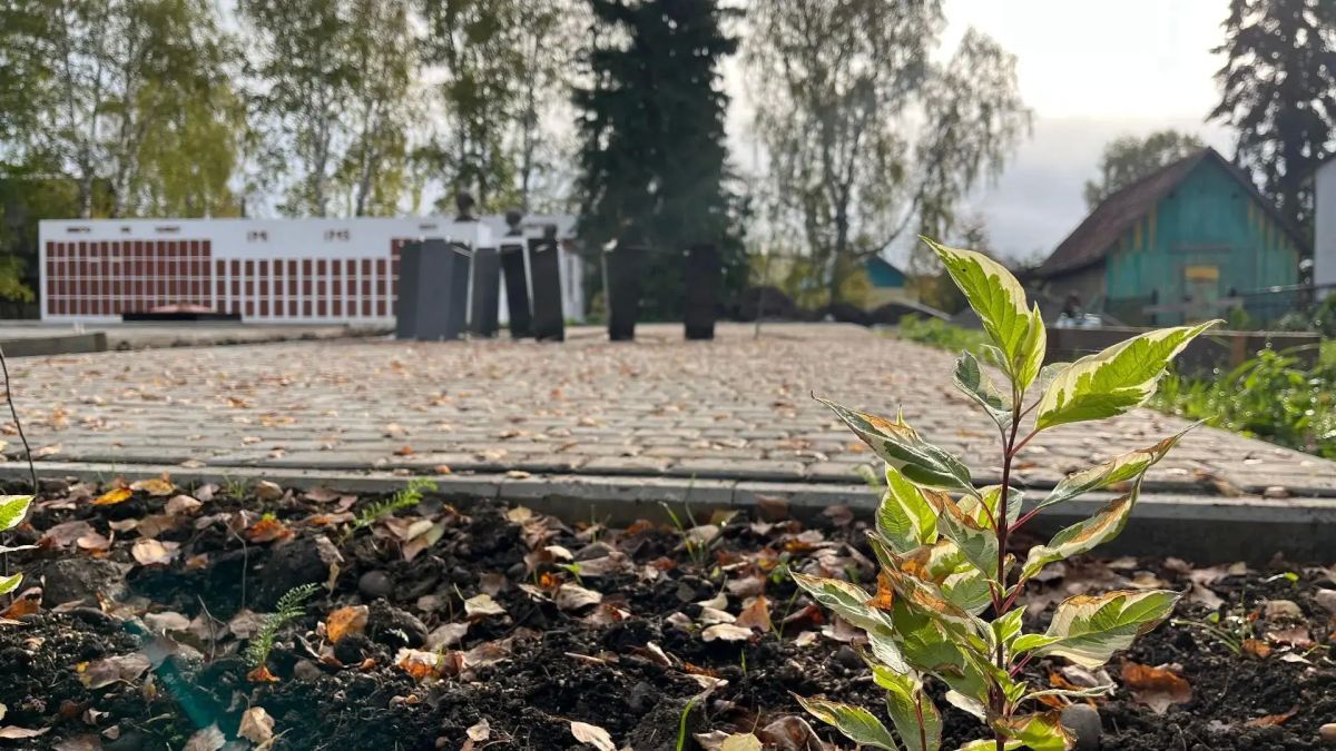 В Турочаке появится Аллея Славы Героев СВО В Турочаке появится Аллея Славы Героев СВО