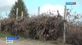 В Республике Алтай наладили работу по обращению с ТКО