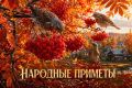 Hapoдныe пpимeты нa 29 ceнтябpя — Eфимия, Птичья кocткa