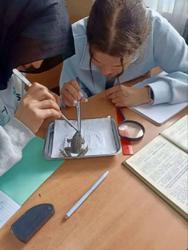 Школьники, готовые выйти за рамки стандартной программы, прошли интенсивную смену по олимпиадной биологии в Центре одарённых детей «Алтай.Сириус» Школьники, готовые выйти за рамки стандартной программы, прошли интенсивную смену по олимпиадной биологии в Центре одарённых детей «Алтай.Сириус»