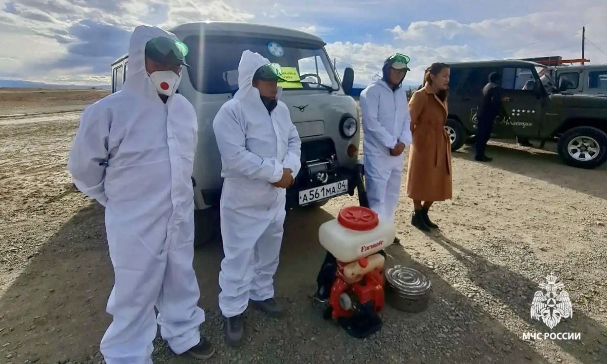 В Республике Алтай стартовала трехдневная штабная тренировка по гражданской обороне В Республике Алтай стартовала трехдневная штабная тренировка по гражданской обороне